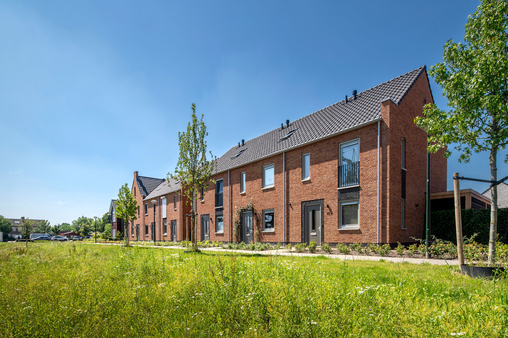 deBolst Erp door ISO3
