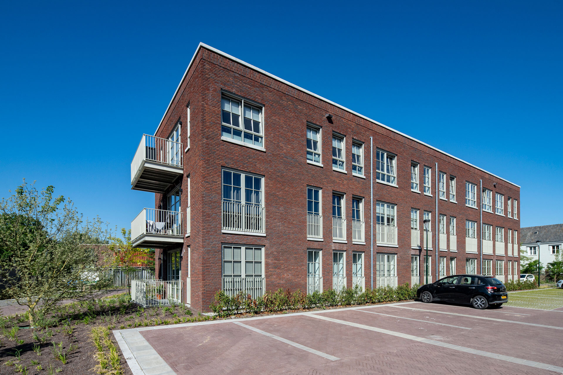 2025 05 JaJo Oirschot Bartvanvlijmen DSC2627