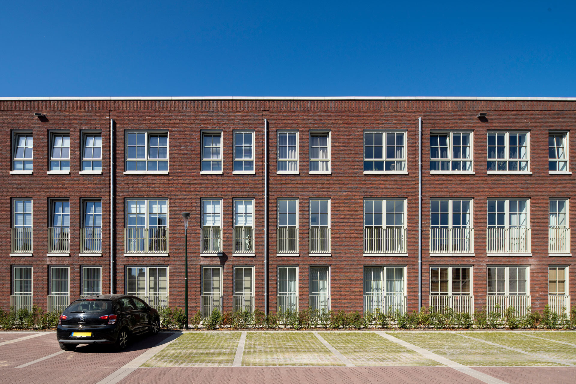 2025 05 JaJo Oirschot Bartvanvlijmen DSC2633