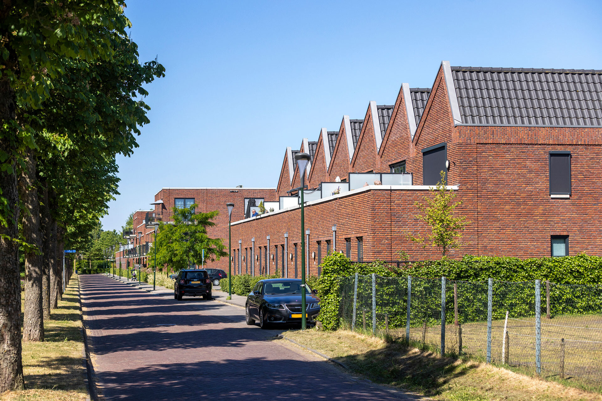 2025 05 JaJo Oirschot Bartvanvlijmen P1A8856